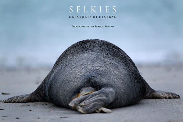 Selkies, les créature de l'Estran par Franck Renard