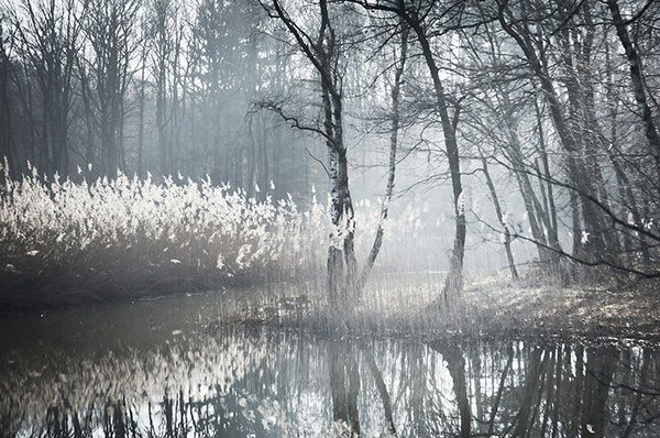 Photographie d'Isabelle Lecomte