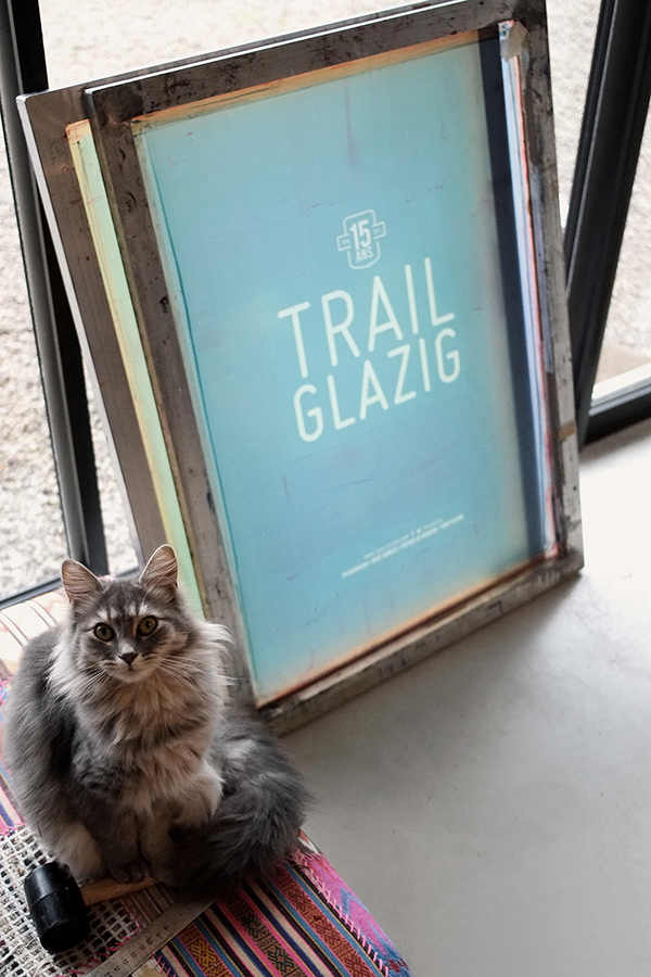 Sérigraphie chat