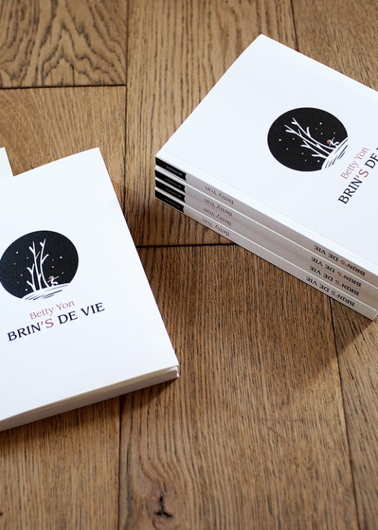 Livre Brin's de Vie par Betty Yon illustré par Stéphane Constant